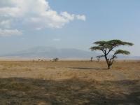 The magestic Serengeti plains